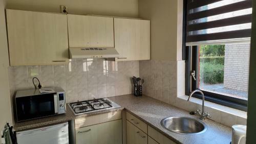 Recreatiewoning Maas En Waal 44