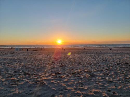 Lazy Cabin Near Hoek Van Holland Beach