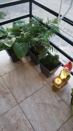 Bella Apartament