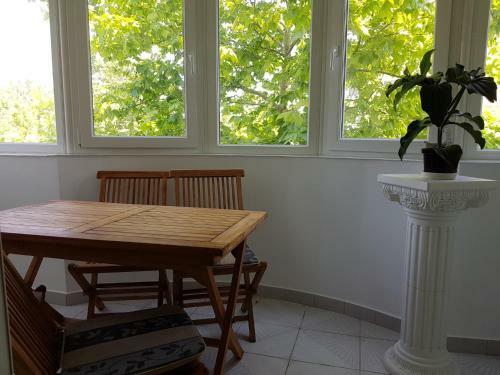 Apartament Trandafirul