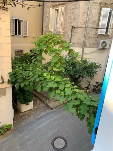 Modern Apartment Veneziana