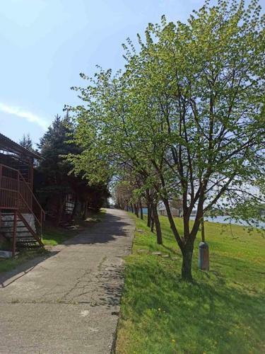 Apartamento Chatka Helenka - Tepl� Vrch