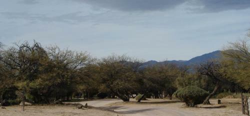 Apartamento Algarroba - Hospedaje
