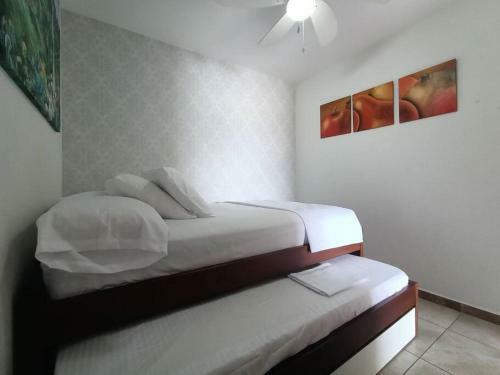 Apartasol 204a