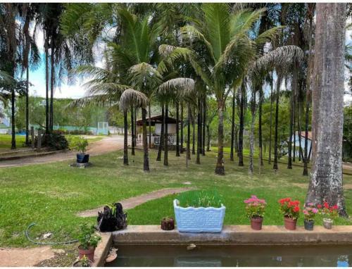 Apartamento Mans�o Ch�cara Para�so Caldas Novas
