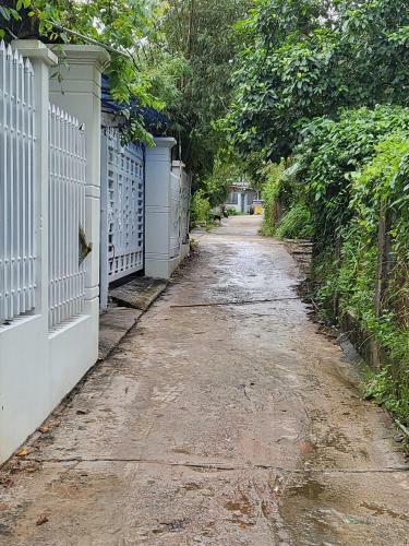 Bed & Breakfast Davi Hostel