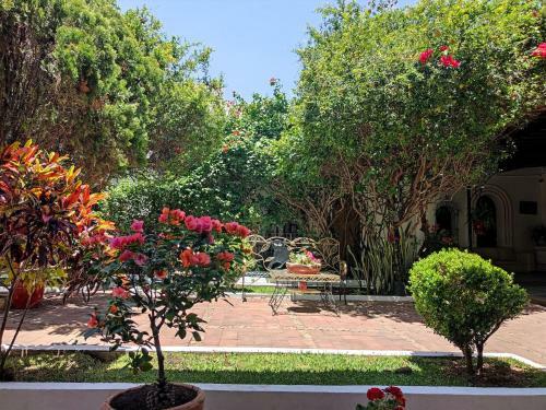 Apartamento Best Location In Oaxaca - Beautiful Garden