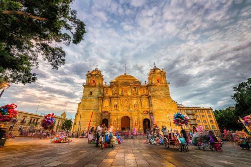 Apartamento Best Location In Oaxaca - Beautiful Garden