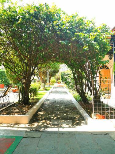 Apartamento Best Location In Oaxaca - Beautiful Garden
