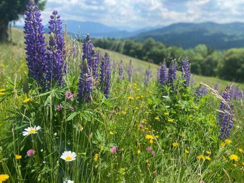 Chalet Kultique