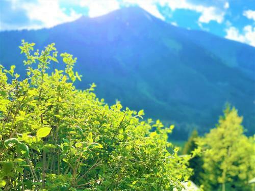 Uriges Chalet Auf �ber 1250m +dampfbad +netflix!