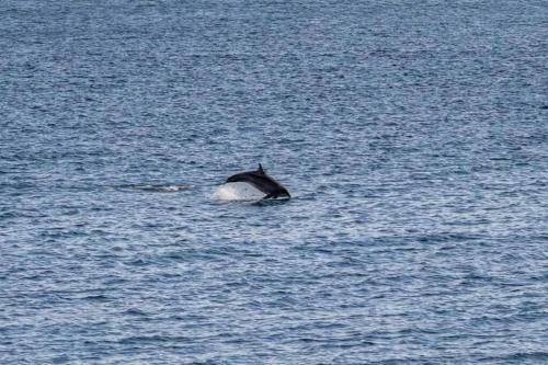 Apartamento Less Than 500m From Bridlington Beach
