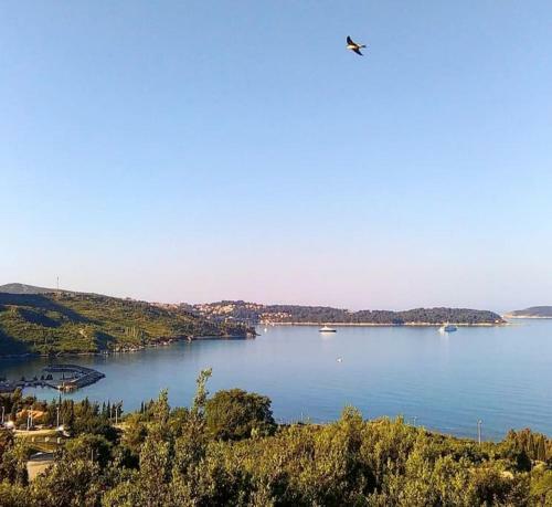 Paula Apartment - Green Home By The Sea