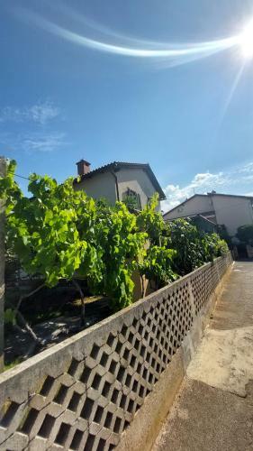 Apartamento Daria