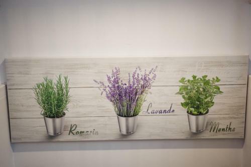 Apartament Ksandra Mare - Aprent
