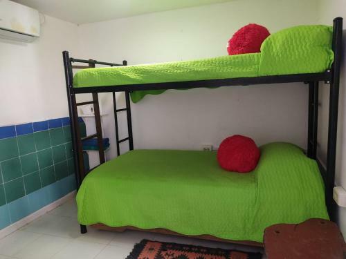 Hostal Casa Nativa Missluz