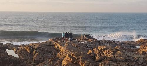 Apartamento Dolphin View 308