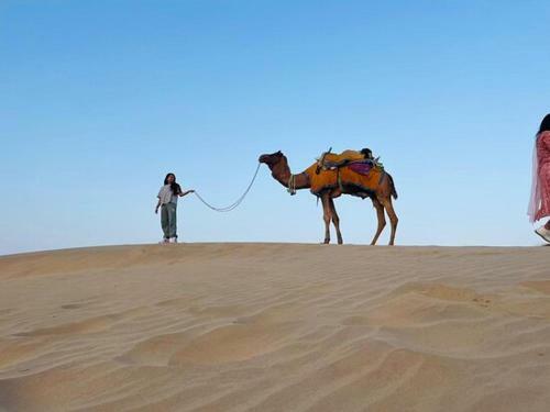 Moon Hostel Jaisalmer