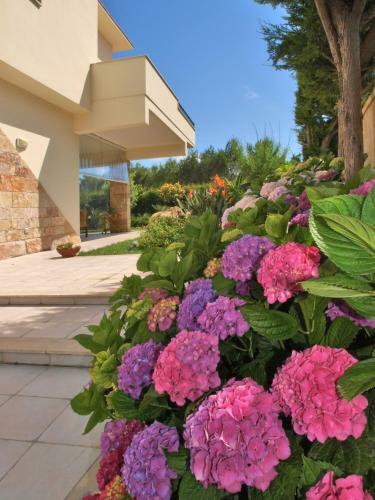 Hostal Villa Neptunia