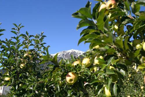 Agroturismo Agritur Monte Pin