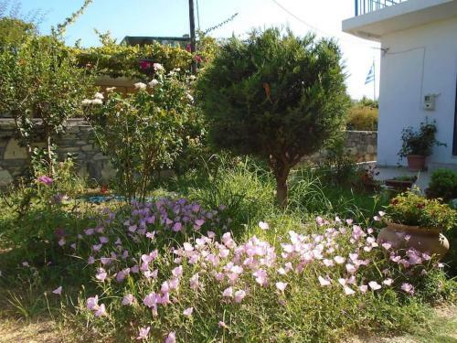 Agroturismo Family?s House
