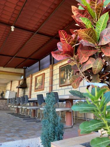 Quinta Do�a Carlota