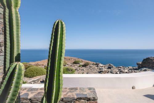 Luxury Villa With Pool And Sea View