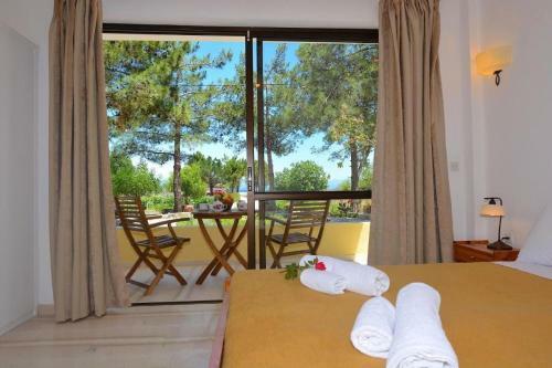 Apartamento Alexandra Studio 5