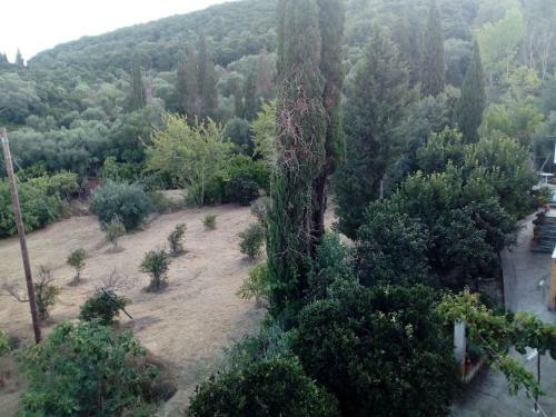 La Cite Family Hotel & Apartments-studio For 4
