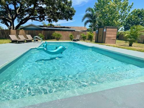 Dolphin House
