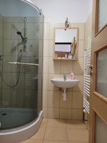 Lodge Ml�nky Jesen�ky
