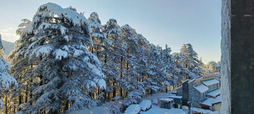 Valley View Private Apartment