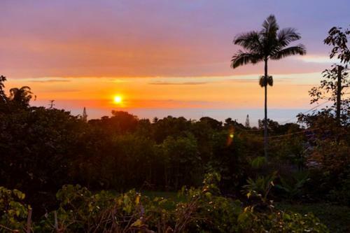 Honaunau Mauka Hale 31 Day Rental