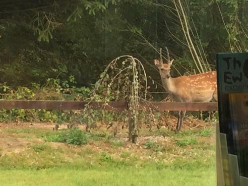 Bed & Breakfast 2 Mile Lodge