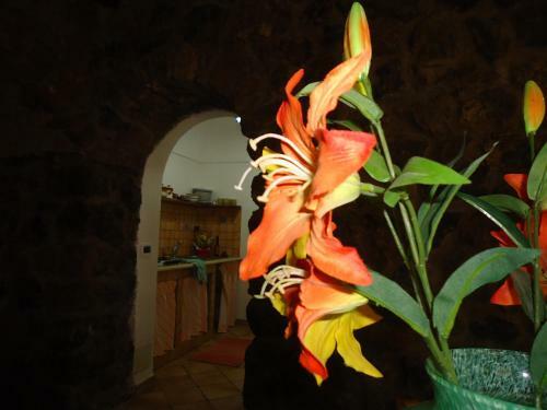 Agriturismo Zibibbodoro