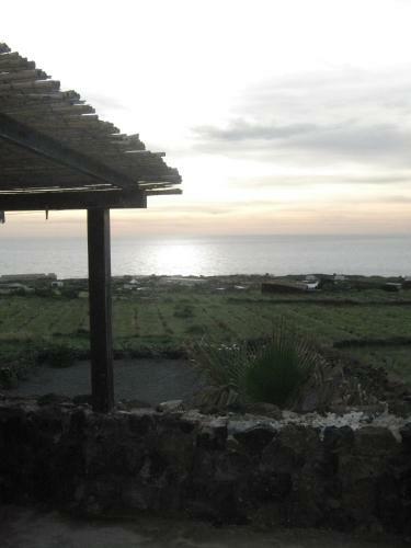 Agriturismo Zibibbodoro