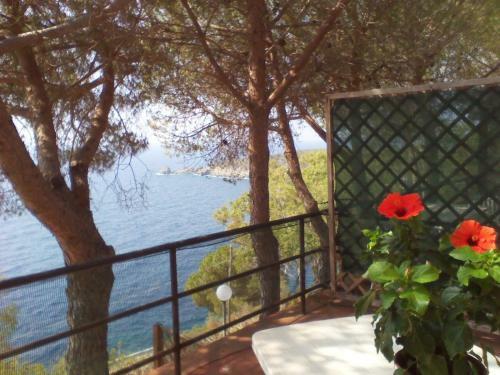 Apartamento Residence La Calle