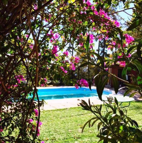Las Tres Rosas Petfriendly House