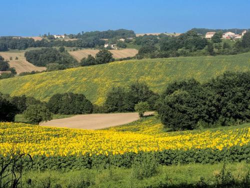 Gite Le Prunier At Le Domaine Du Chasselas