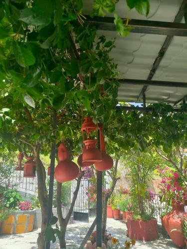 Apartamento Hara's House