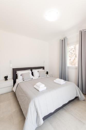 Dioni Villa Mykonos