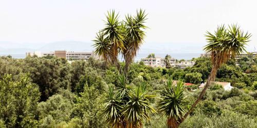 Albergue Habitat Villa Corfu