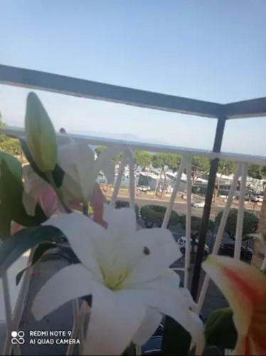 Apartamento Appartamento Sul Lungomare Con Terrazza Panoramica