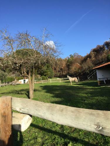 Agroturismo Quinta Dos Lameiros