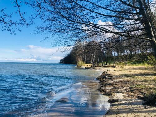 Apartament Z?ote Piaski