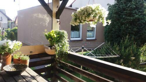 Domek Pod Cisem