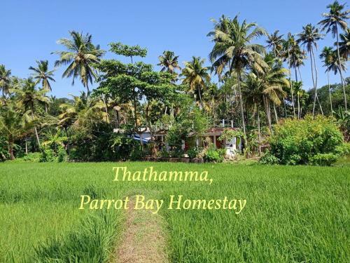 Parrot Bay Home Stay