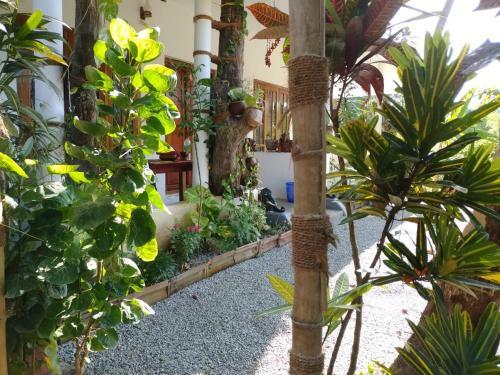 Parrot Bay Home Stay