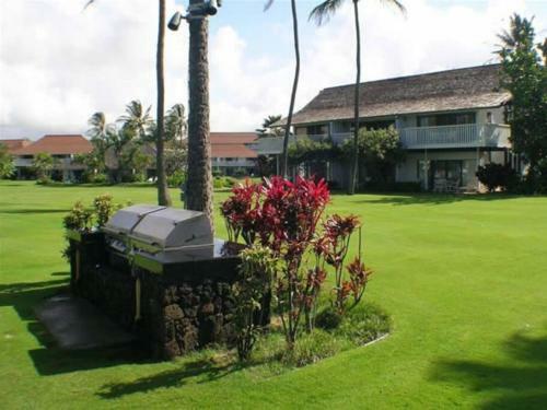 Apartamento Ocean View Modern 1br At Kiahuna Plantation