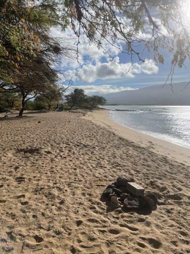 Apartamento This Place Is Different!! Totally Remodeled Modern Oceanfront Condo. View View!